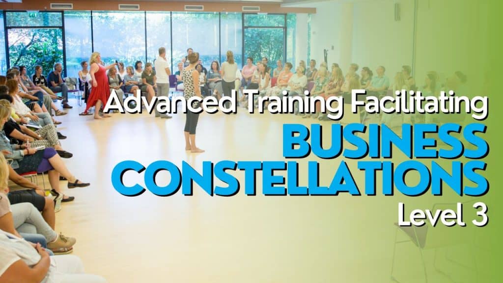 Advanced training facilitating business constellations level 3