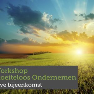 Workshop Moeiteloos Ondernemen